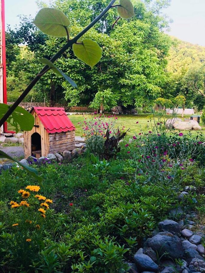 Dreamland Lagodekhi & Wine Cellar מראה חיצוני תמונה