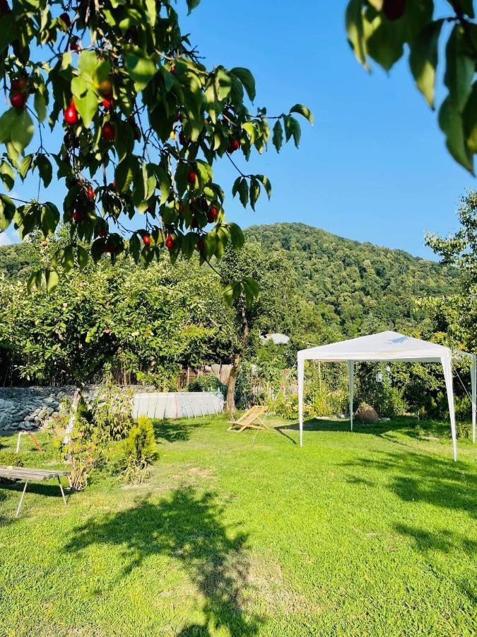 Dreamland Lagodekhi & Wine Cellar מראה חיצוני תמונה
