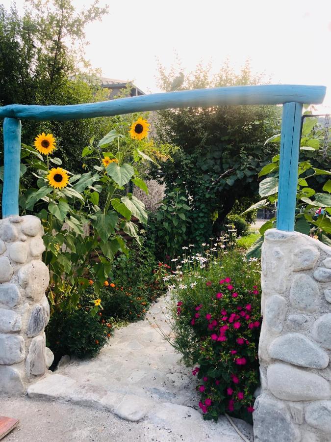 Dreamland Lagodekhi & Wine Cellar מראה חיצוני תמונה