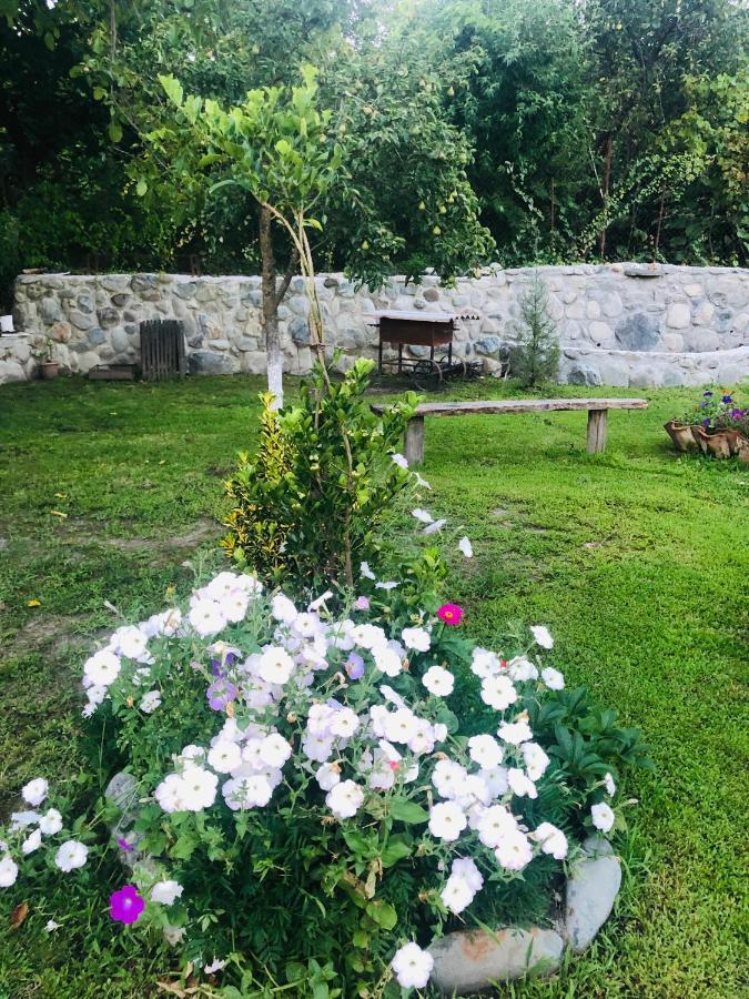 Dreamland Lagodekhi & Wine Cellar מראה חיצוני תמונה
