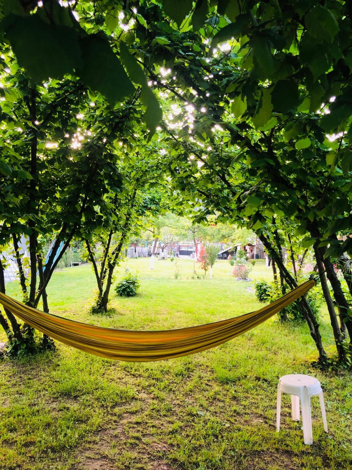 Dreamland Lagodekhi & Wine Cellar מראה חיצוני תמונה